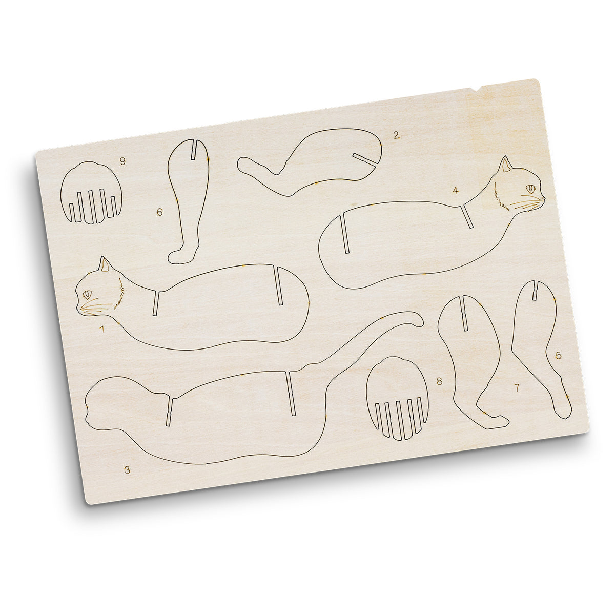 Flat Sheet