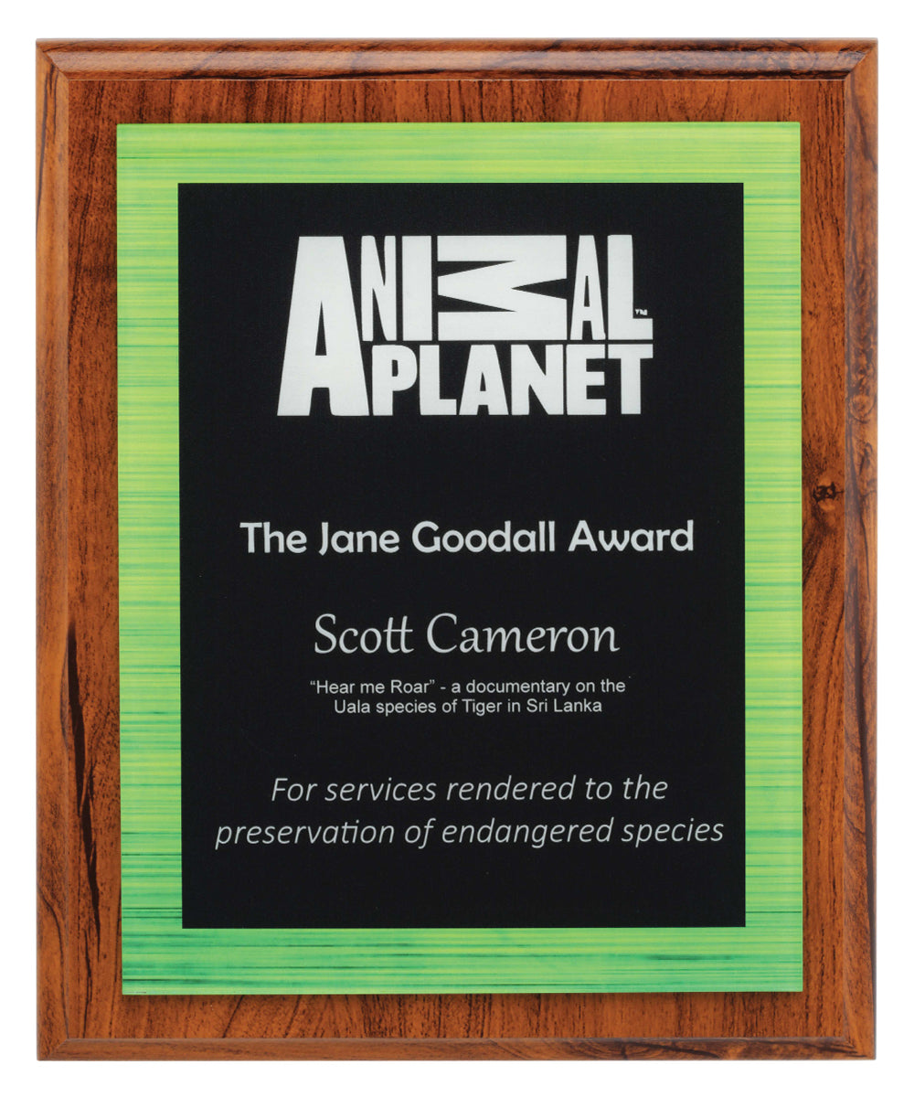 Vivid Green Plaque - 250mm