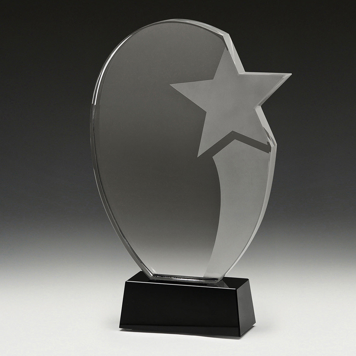 Recognition Star - 260mm