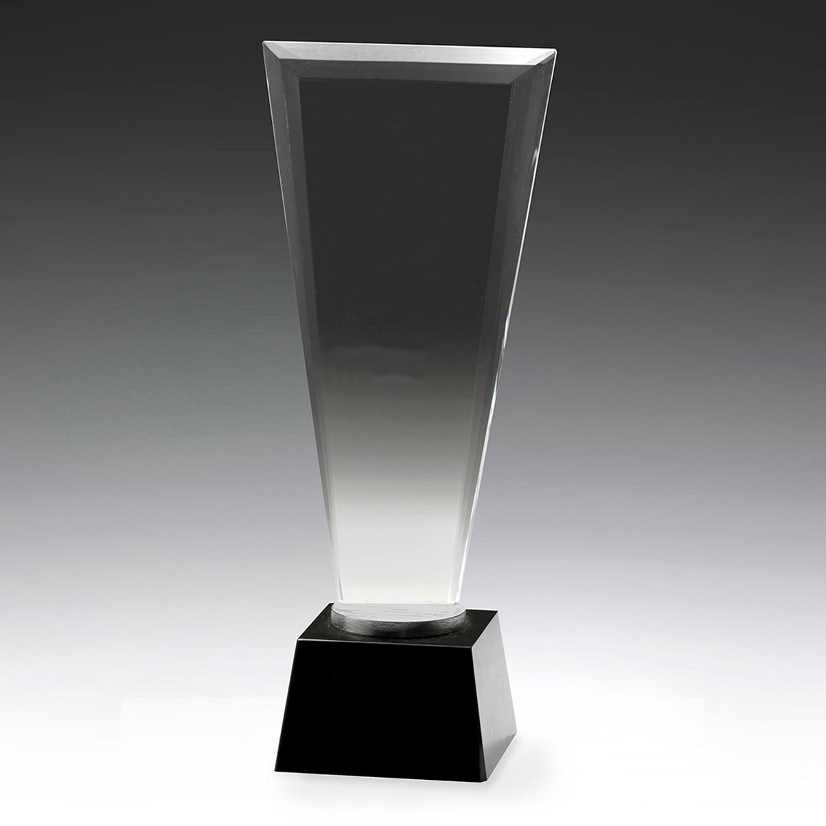 Hallmark Award - 270mm
