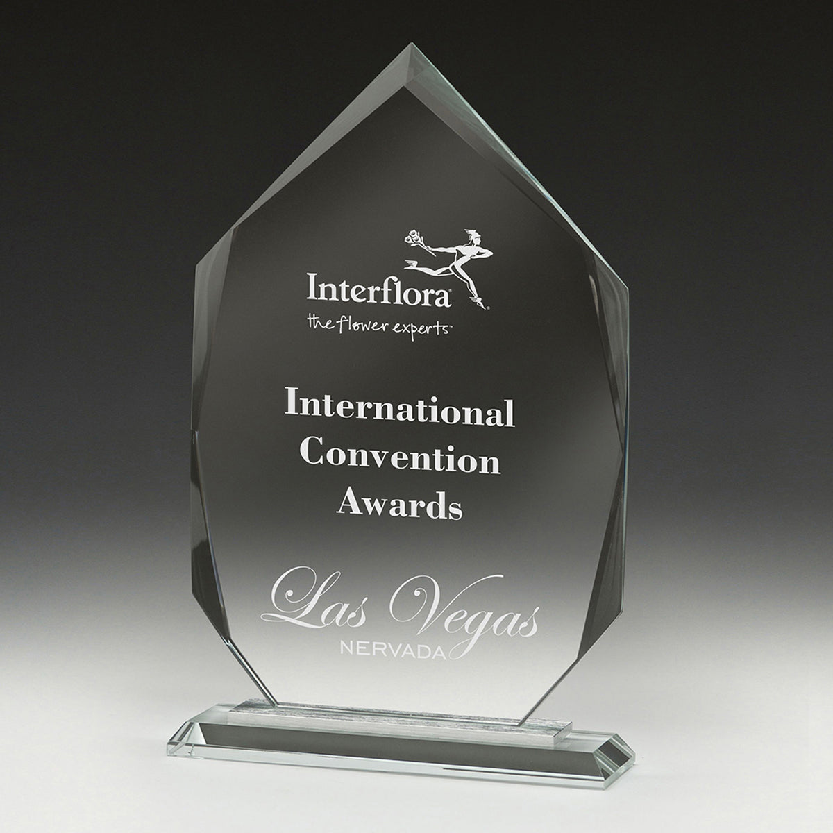 Integrity Arrowhead - 220mm