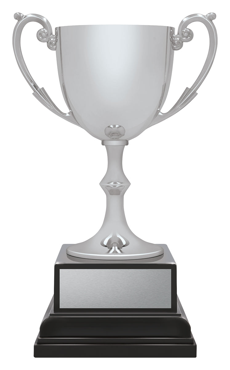 Ace Recognition Silver - 145mm