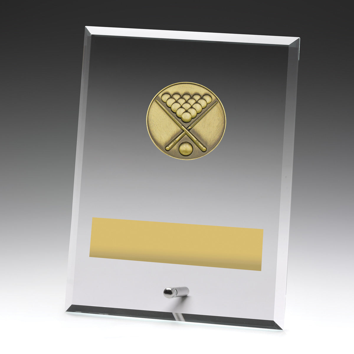 Glass Plaques - Pool - 200mm