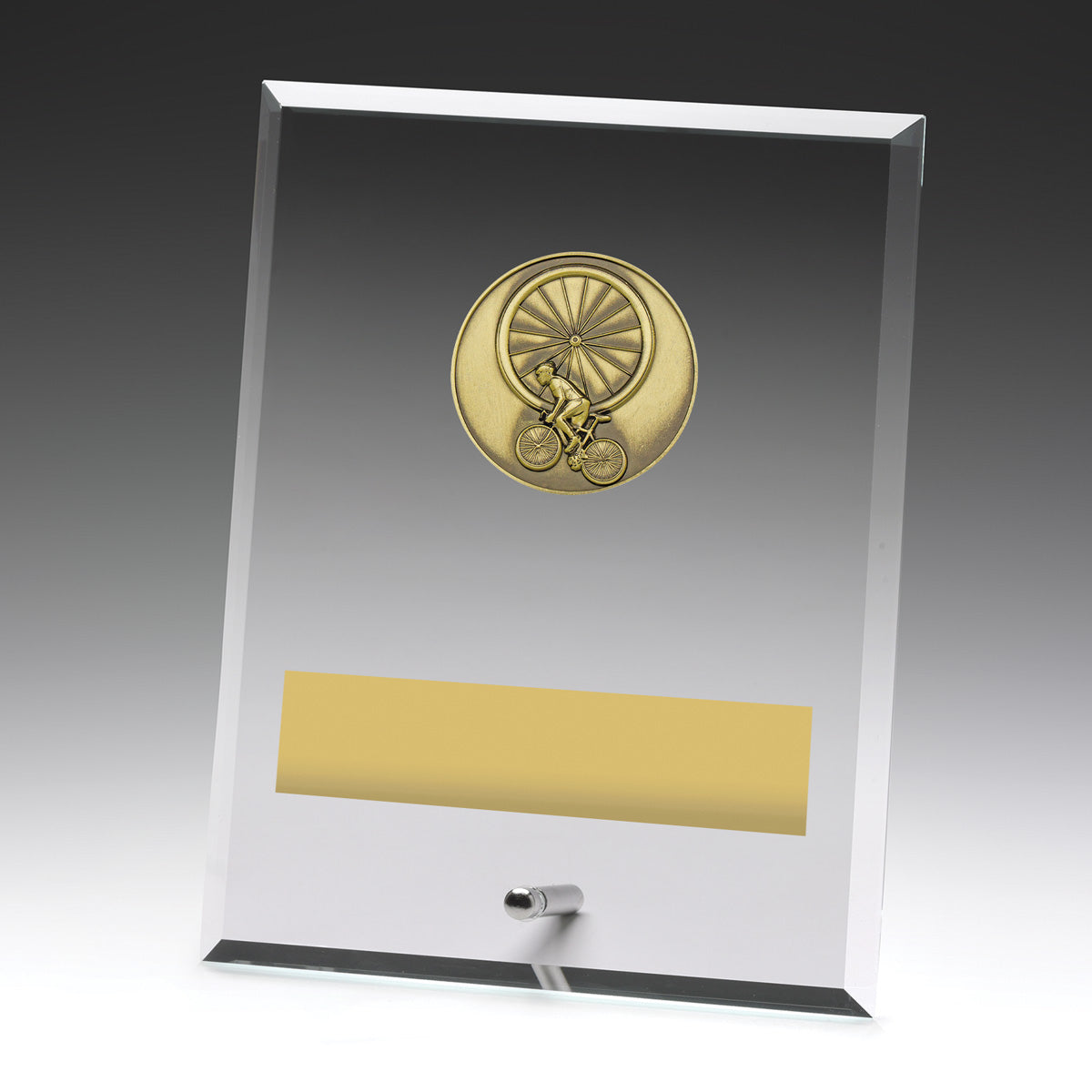 Glass Plaques - Cycling - 200mm