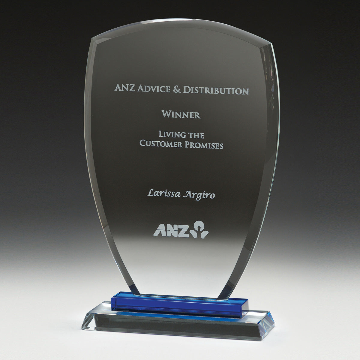 Blue Shield Award - 205mm
