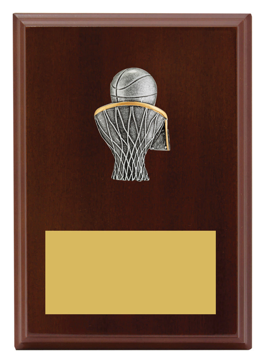 Peak Plaque Basketball - 175mm