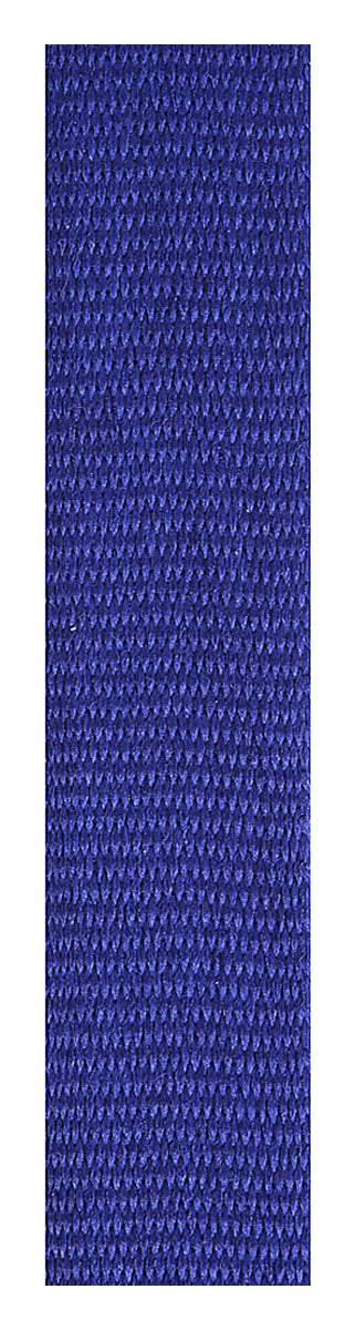 Blue Loop Ribbon - 700 x 12mm