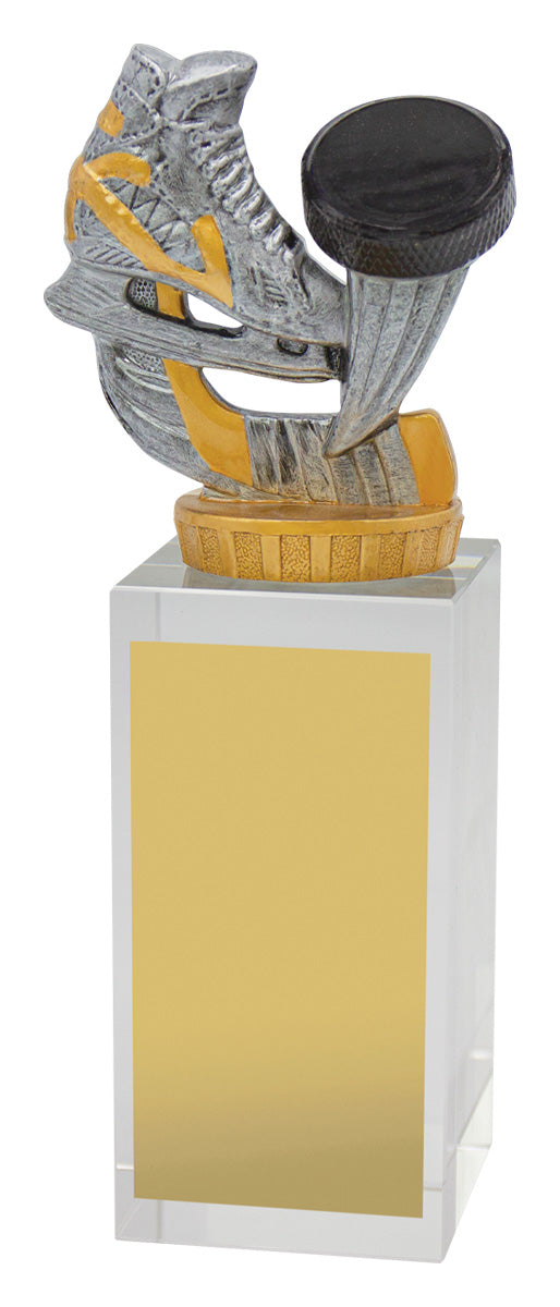 Ice Hockey Budget Crystal - 175mm