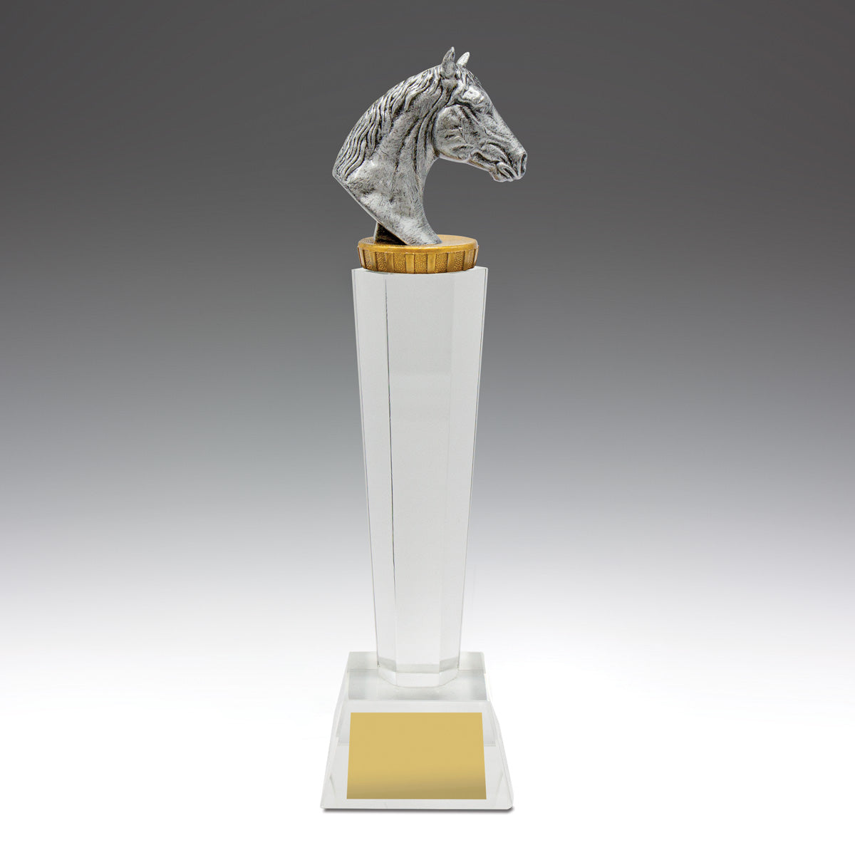 Horse Crystal - 265mm