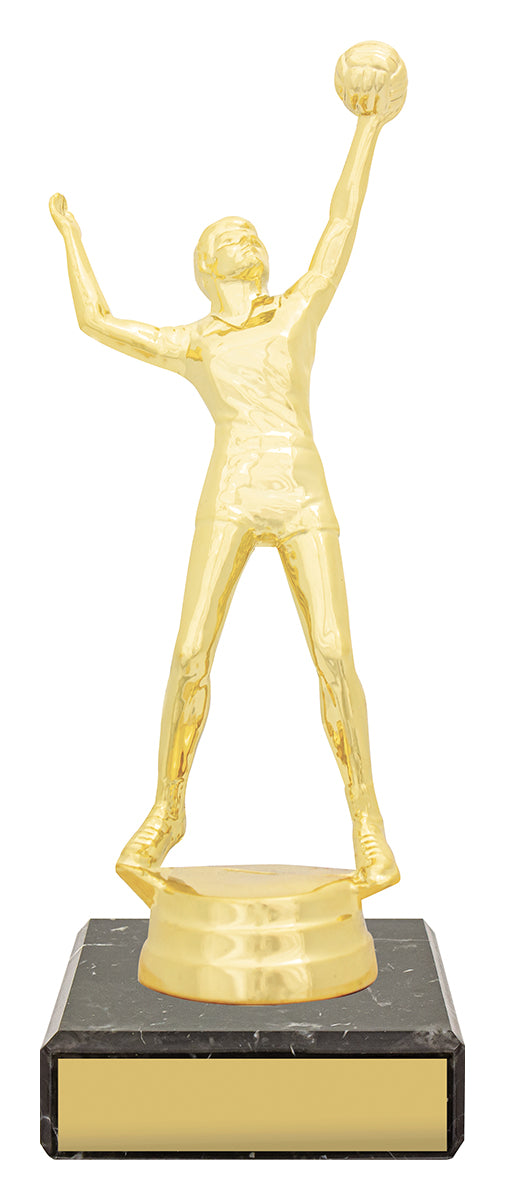 Figure Trophy - Male Volleyball - 170mm