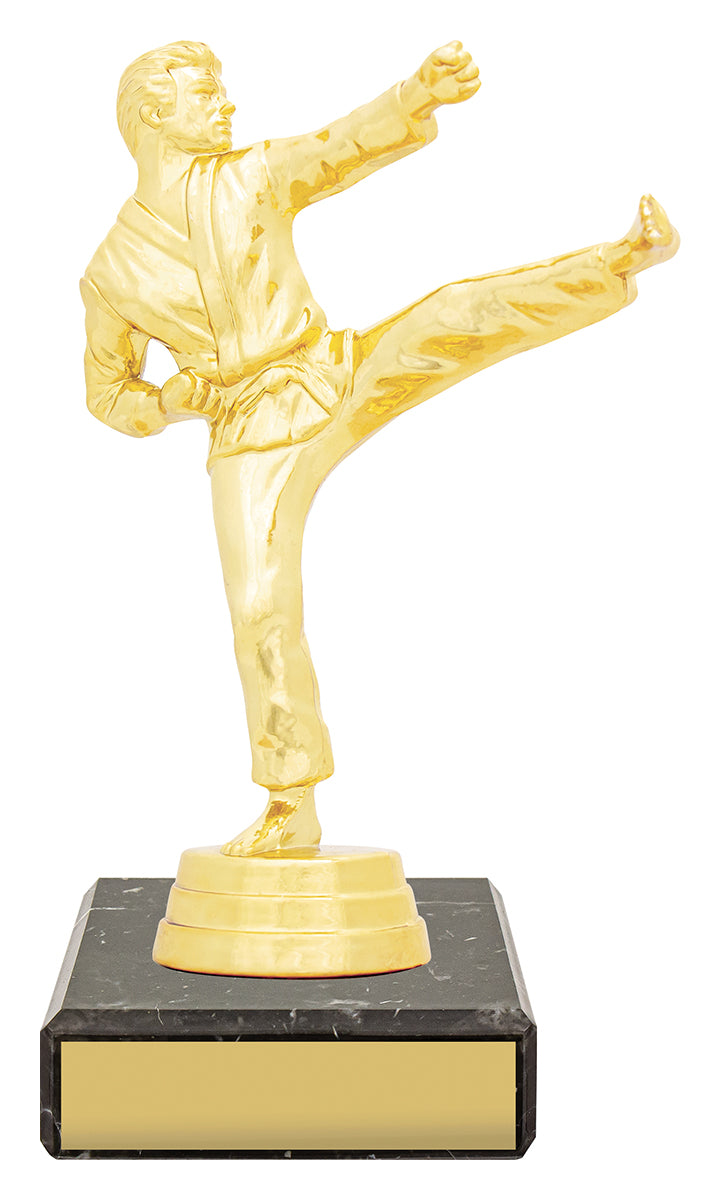 Figure Trophy - Male Karate - 145mm