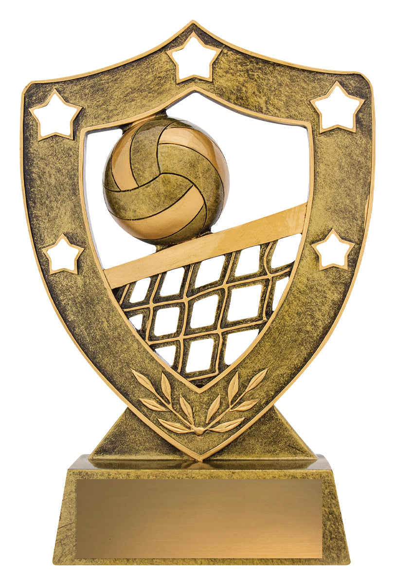Volleyball Gold Shield - 210mm