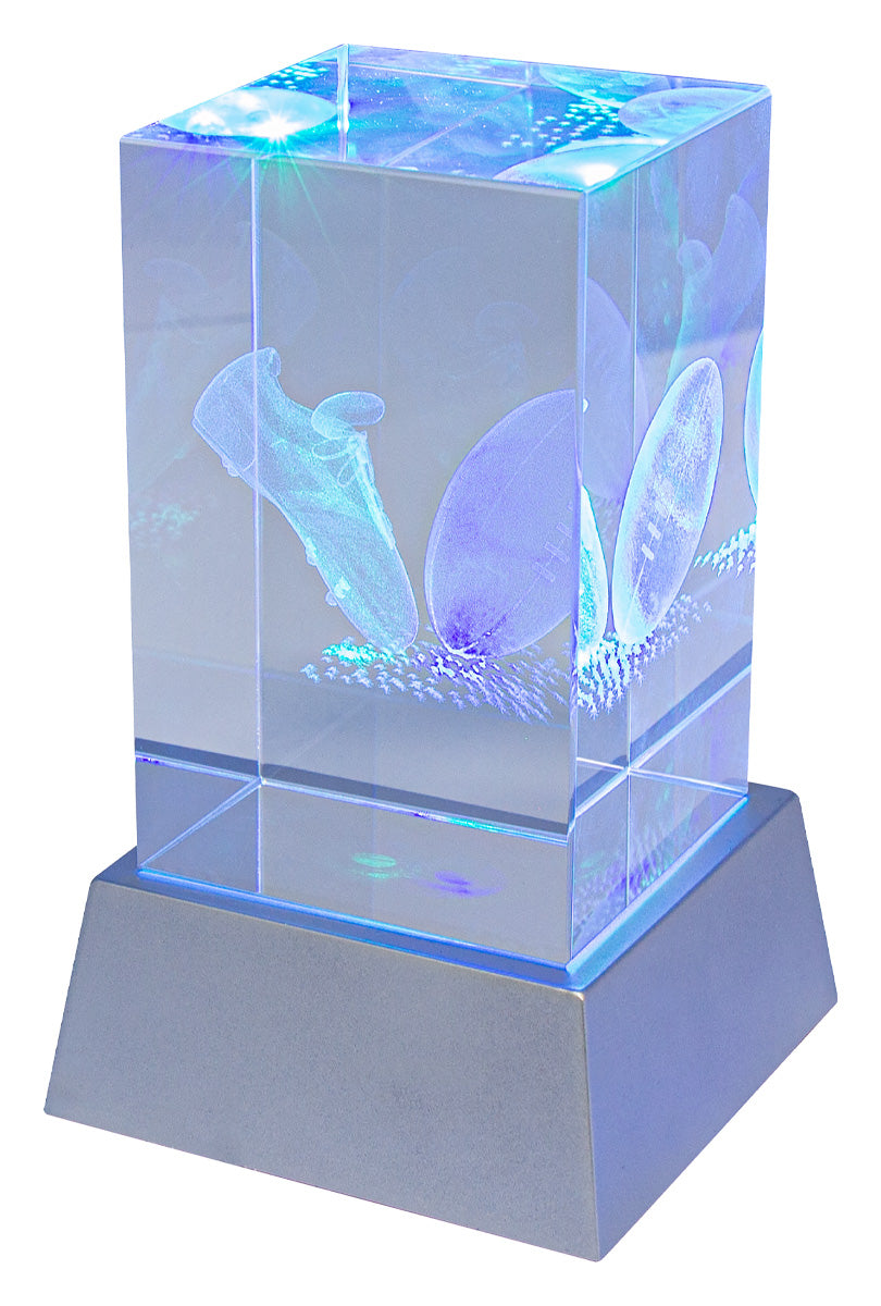 Light Up Crystal - 110mm