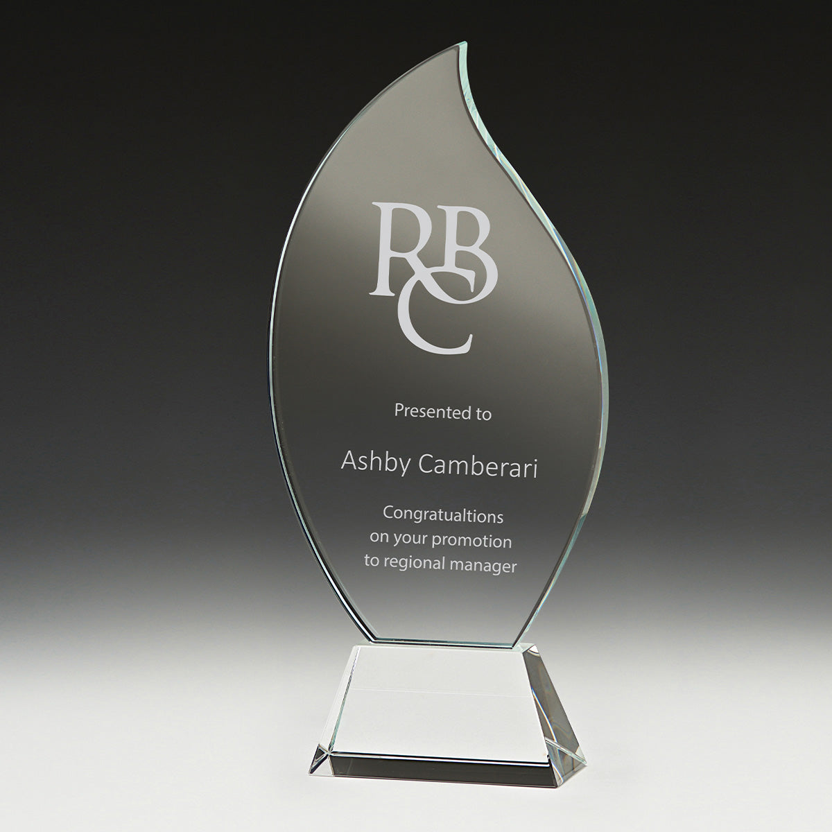 Levity Award - 215mm