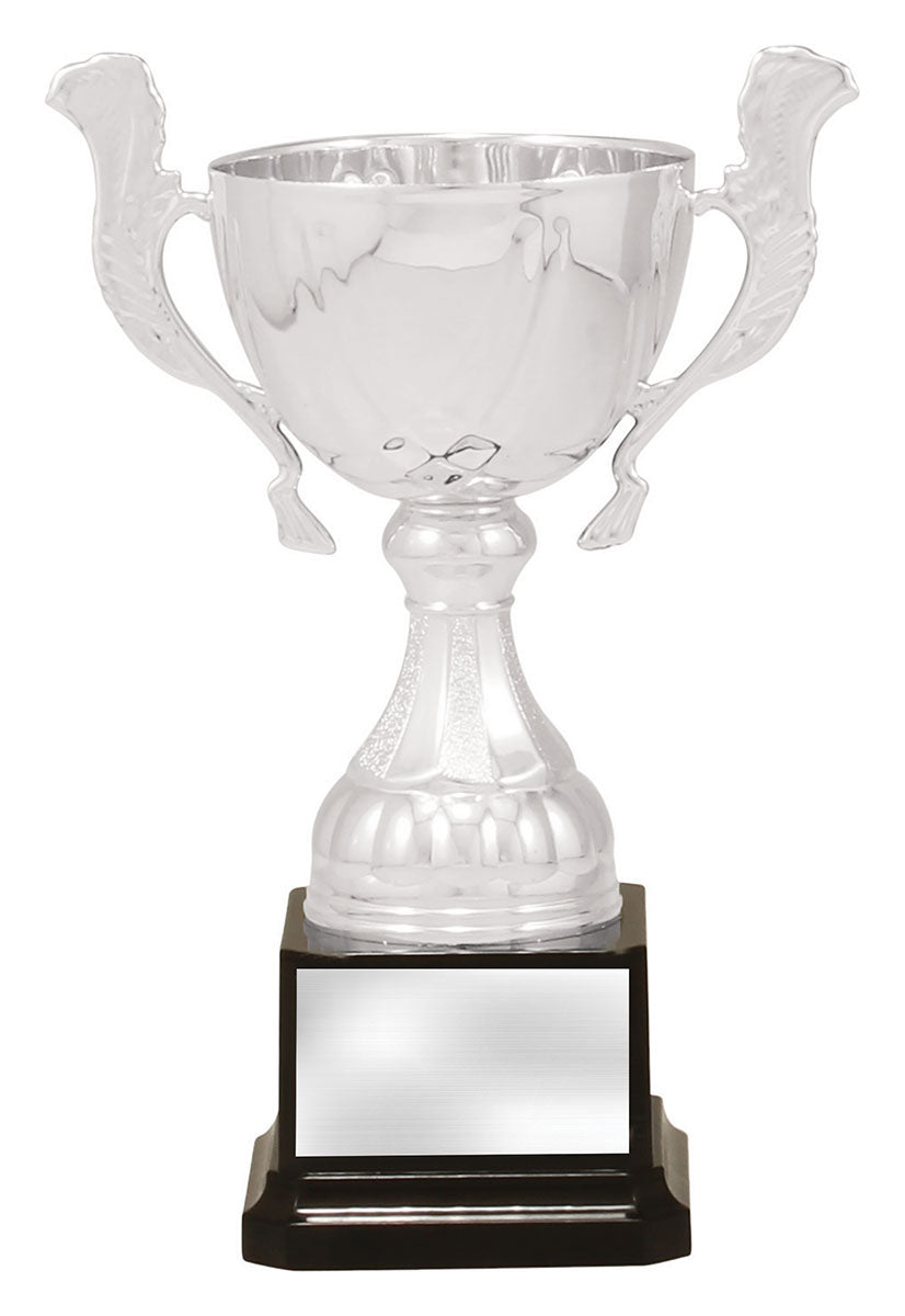 Silver Turin - 200mm