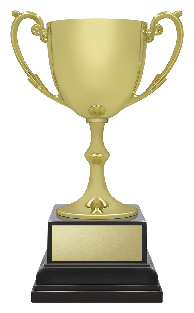Ace Recognition Gold - 185mm