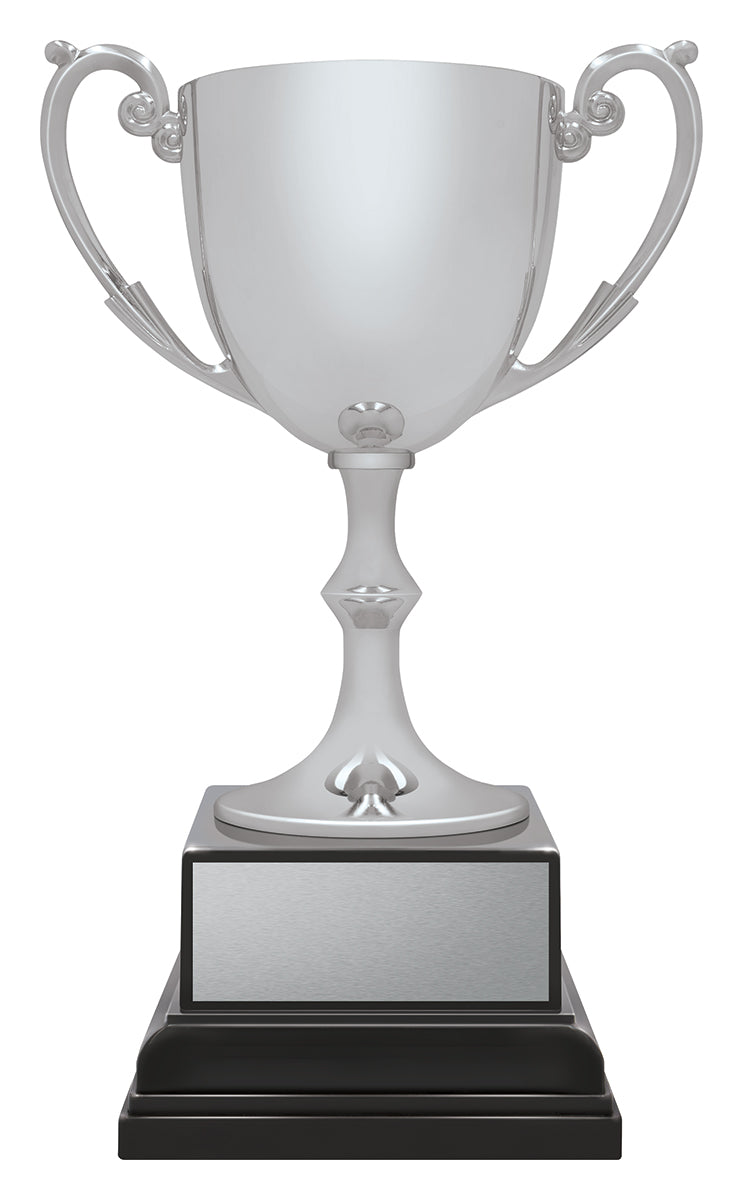 Ace Recognition Silver - 215mm