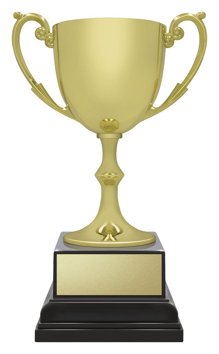 Ace Recognition Gold - 215mm