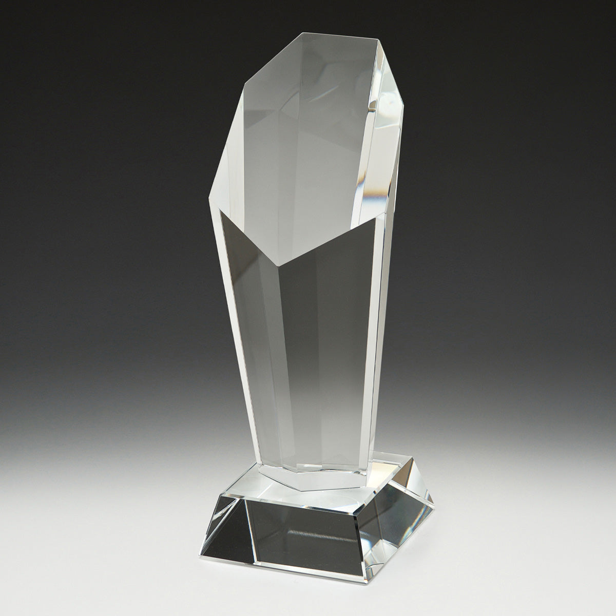 Endurance Award  - 185mm