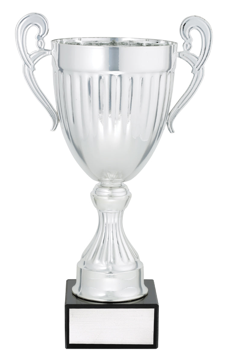 Endeavour - Silver - 270mm