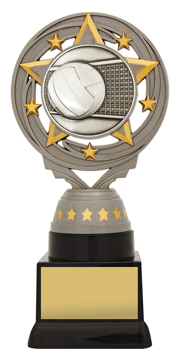 Silver Volleyball Torch - 180mm