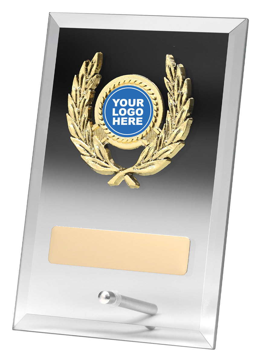 Clear Plaque - 230mm