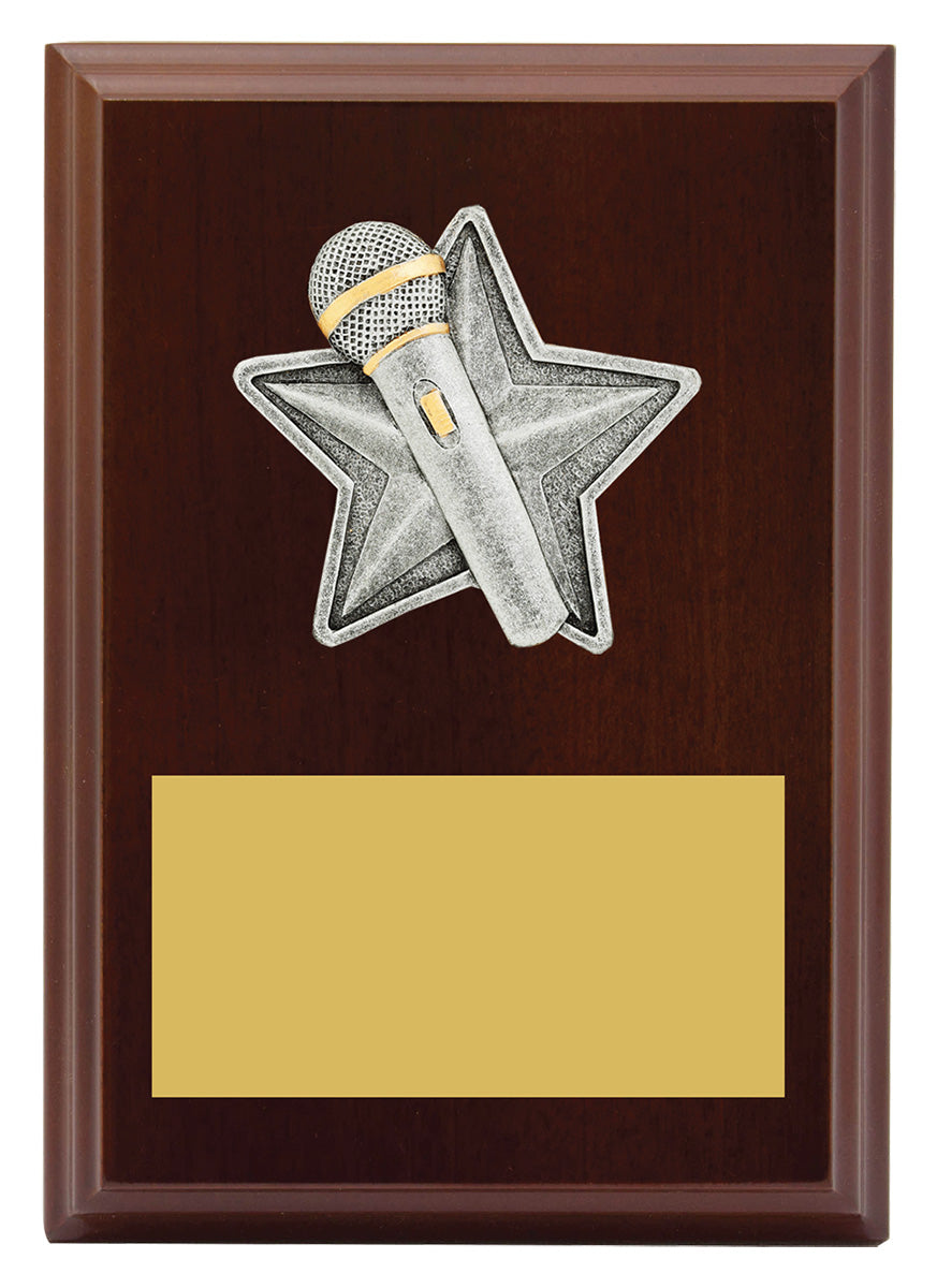 Peak Plaque Public Speaking - 150mm