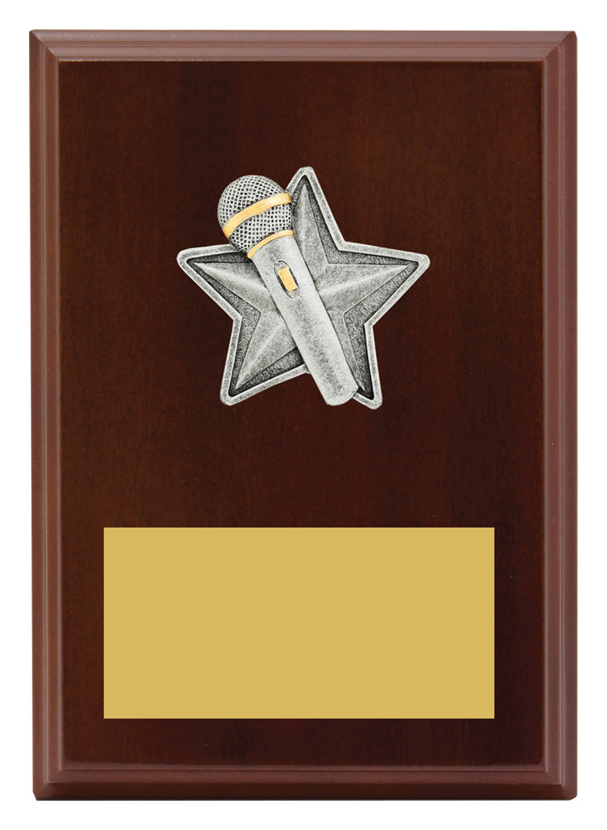 Peak Plaque Public Speaking - 175mm
