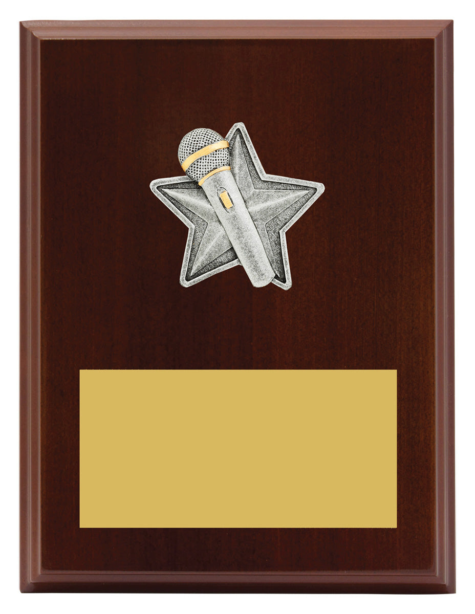 Peak Plaque Public Speaking - 200mm