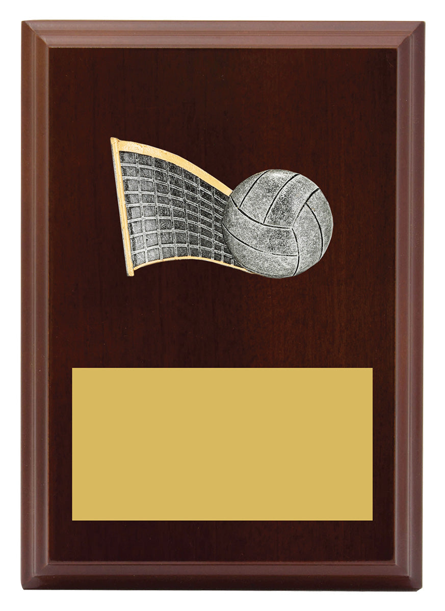 Peak Plaque Volleyball - 150mm