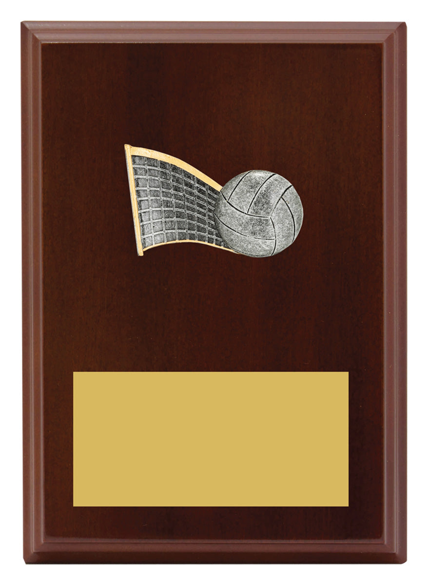 Peak Plaque Volleyball - 175mm