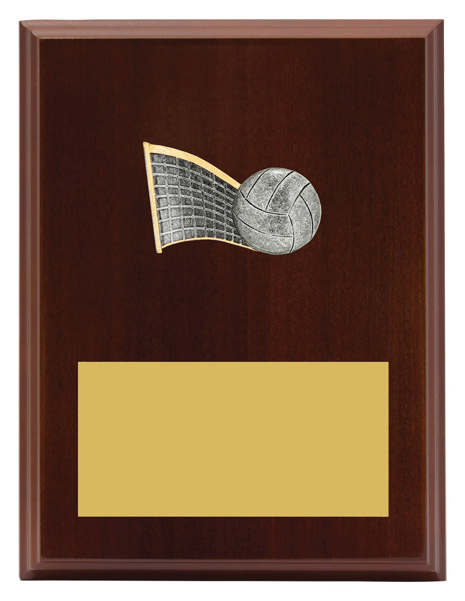Peak Plaque Volleyball - 200mm