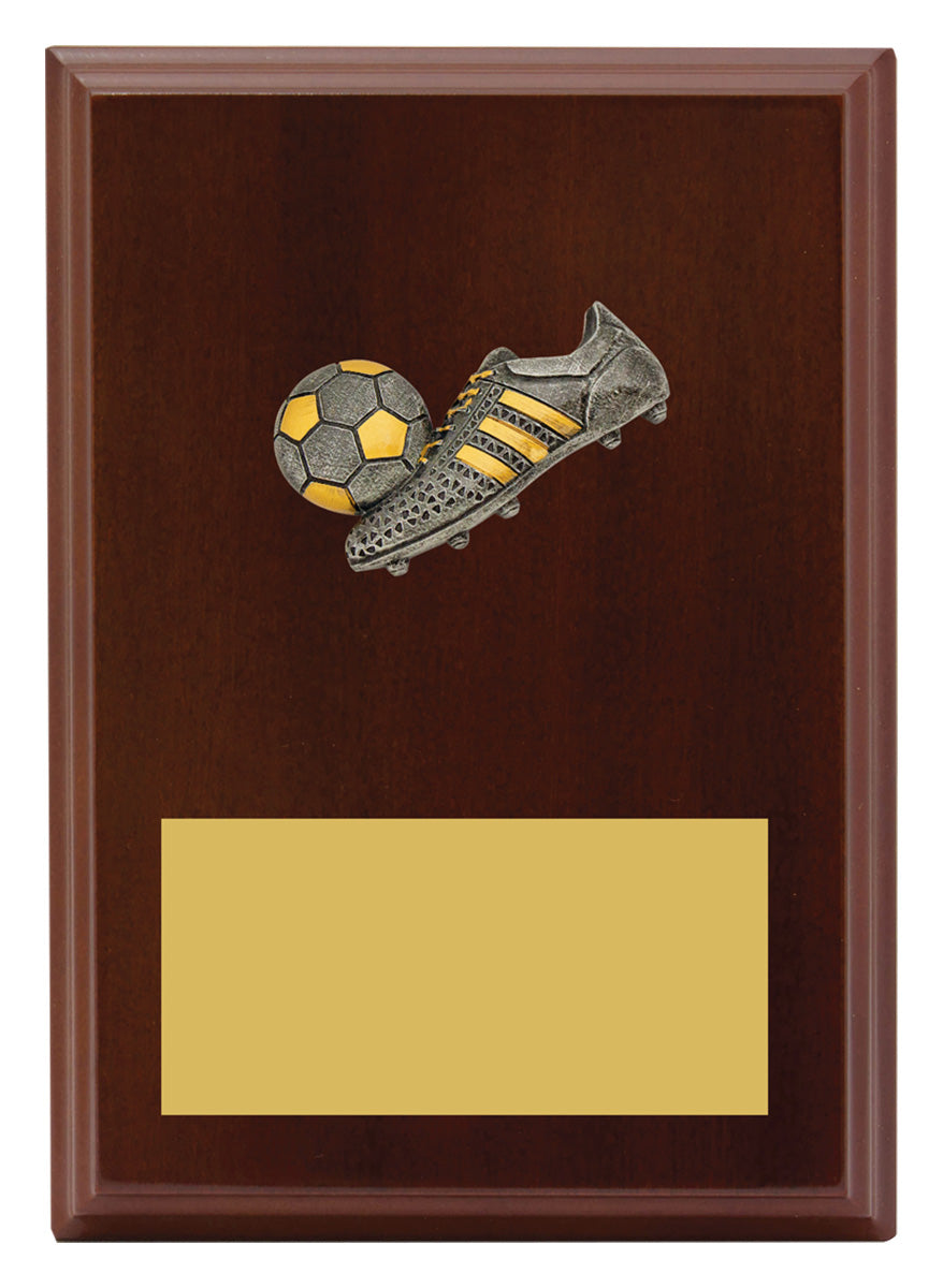 Peak Plaque Football - 175mm