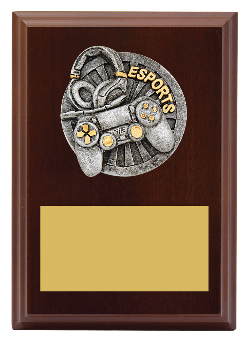 Peak Plaque Esports - 150mm