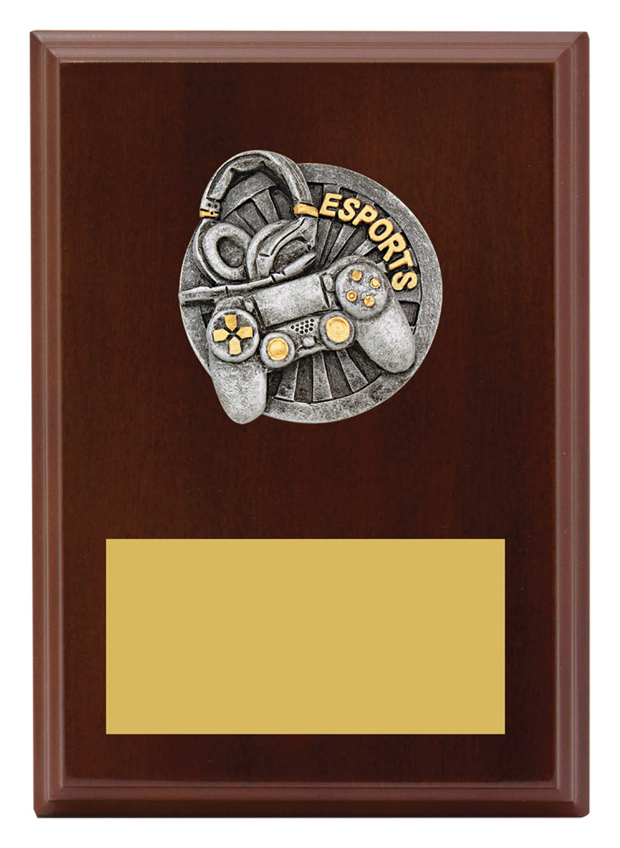 Peak Plaque Esports - 175mm