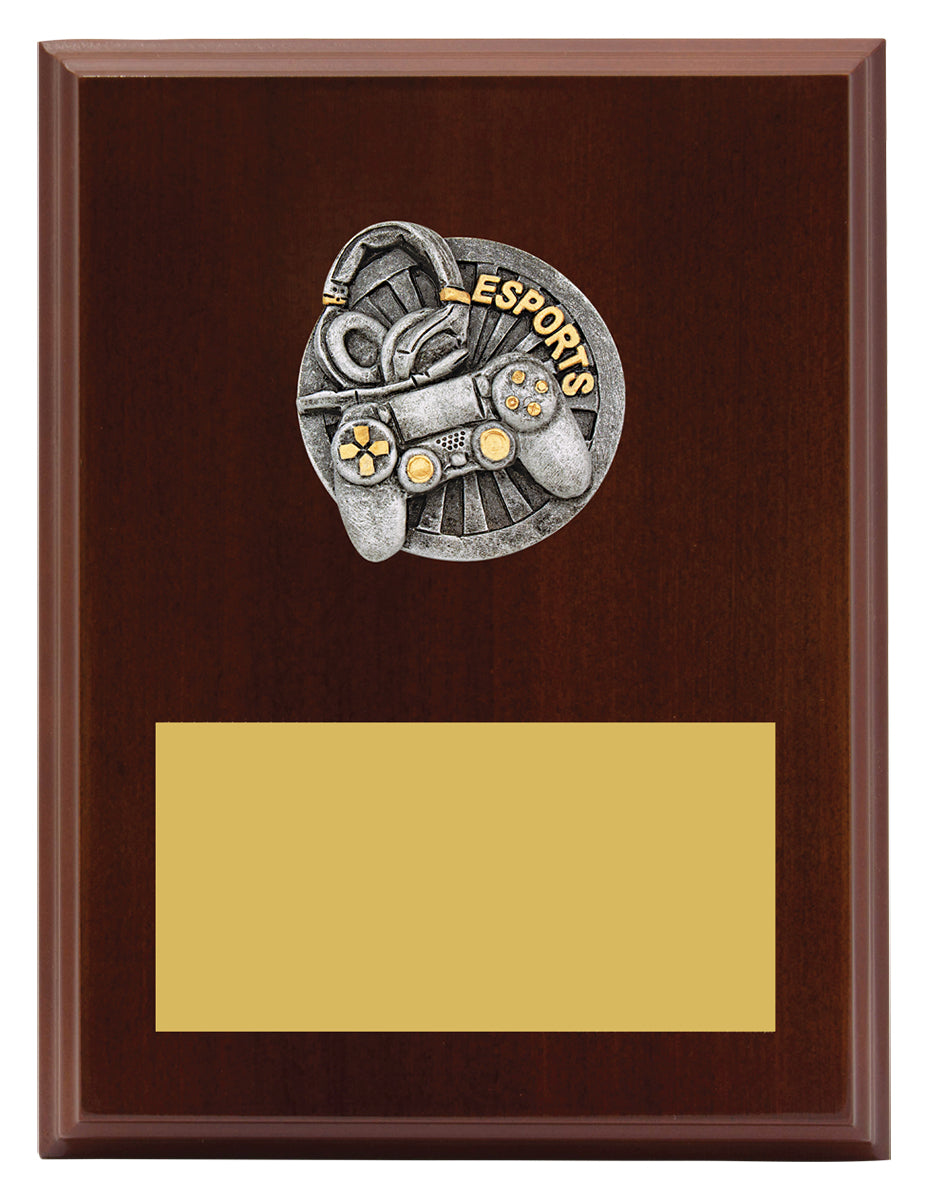Peak Plaque Esports - 200mm