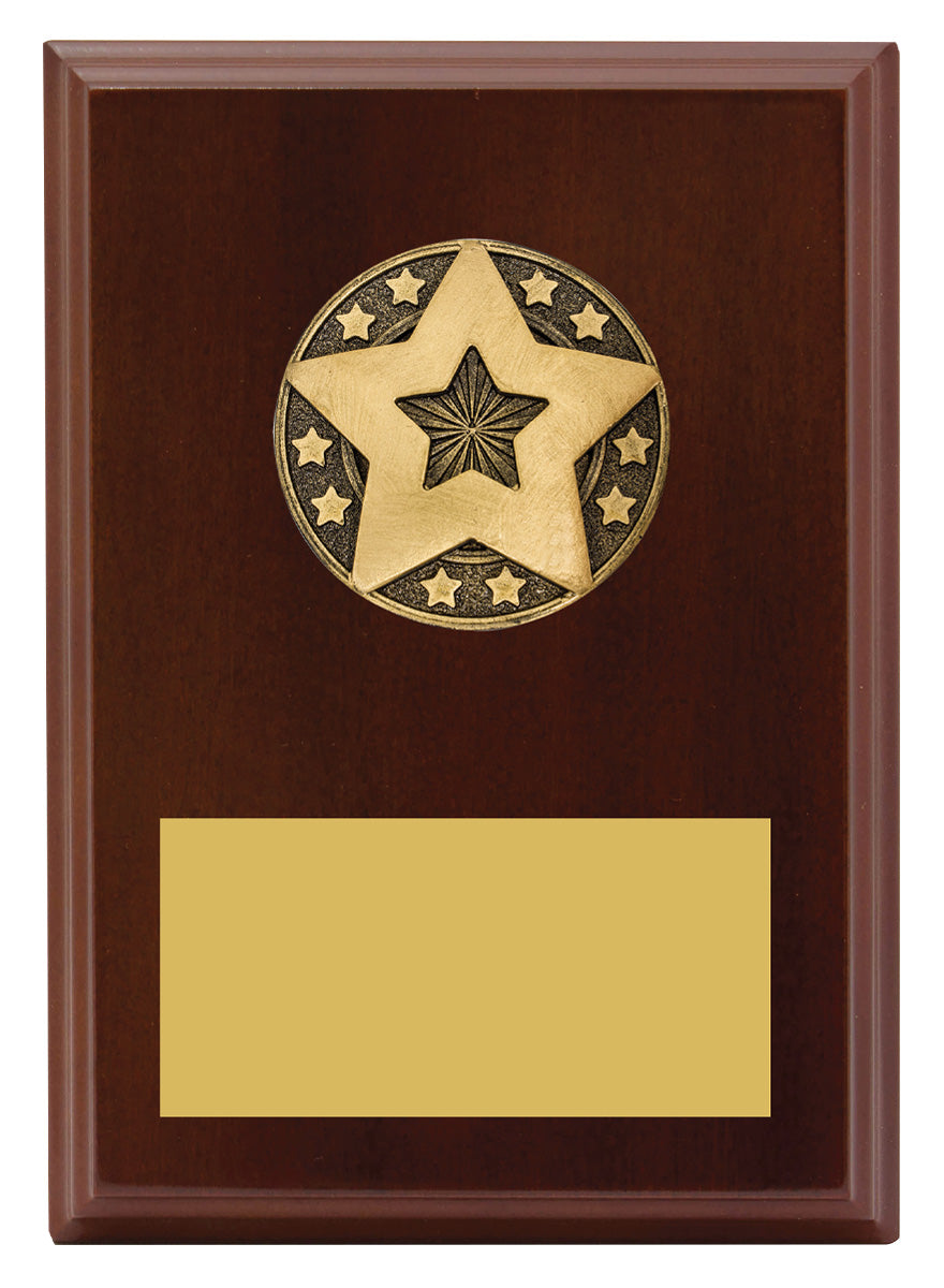 Star Award Plaque - 175mm