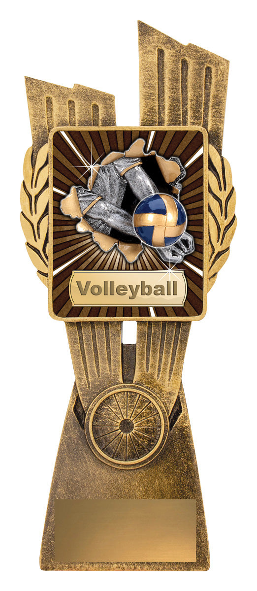 Antique Gold Lynx - Volleyball - 210mm