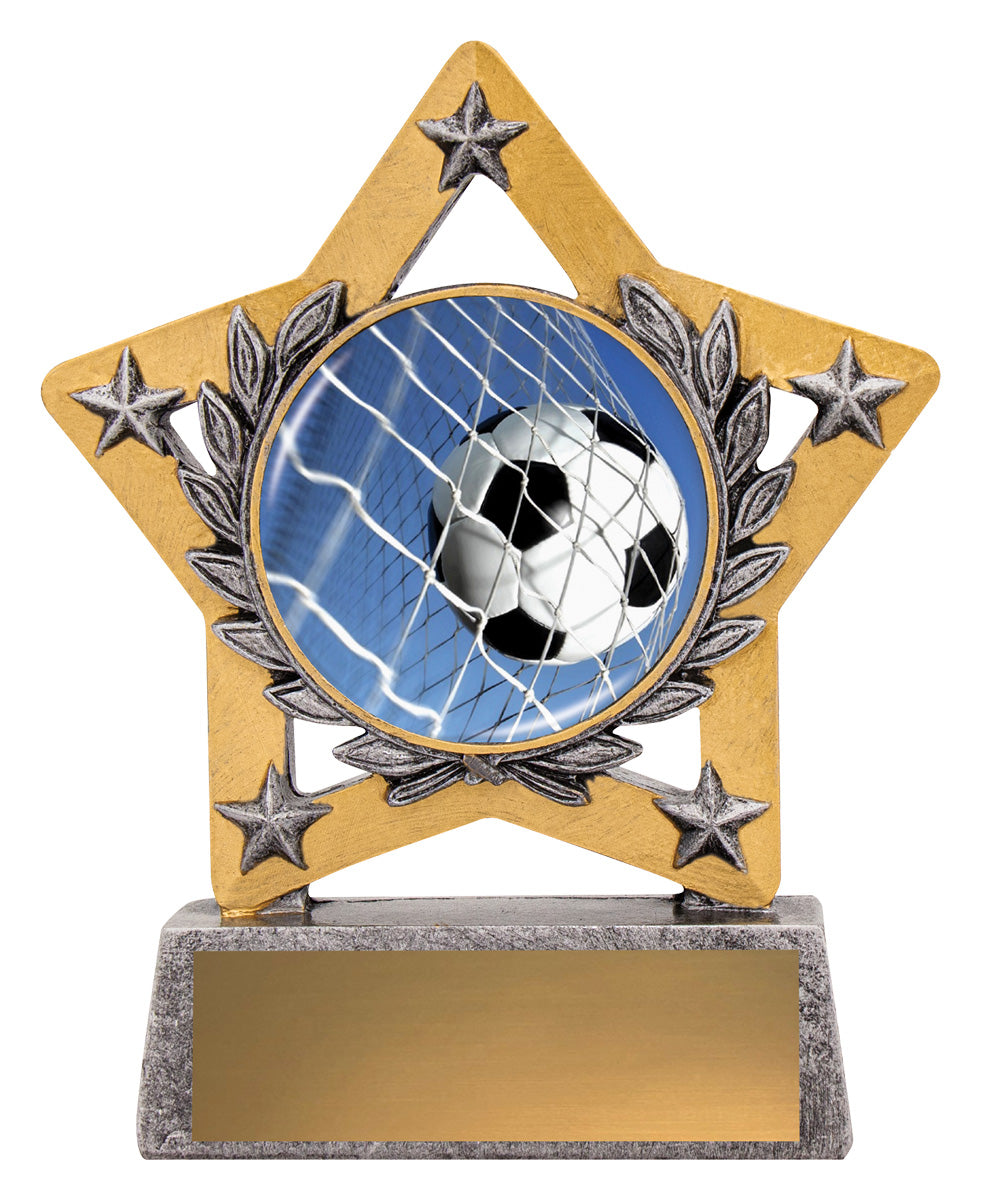 Mini Star Colour - Ball in Net - 130mm