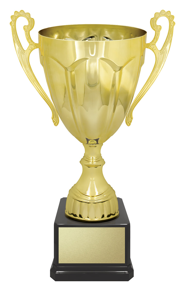 Rubicon Gold Cup - 255mm