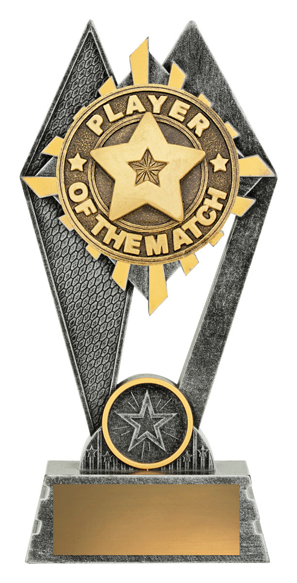 Peak - Player of the Match - 180mm