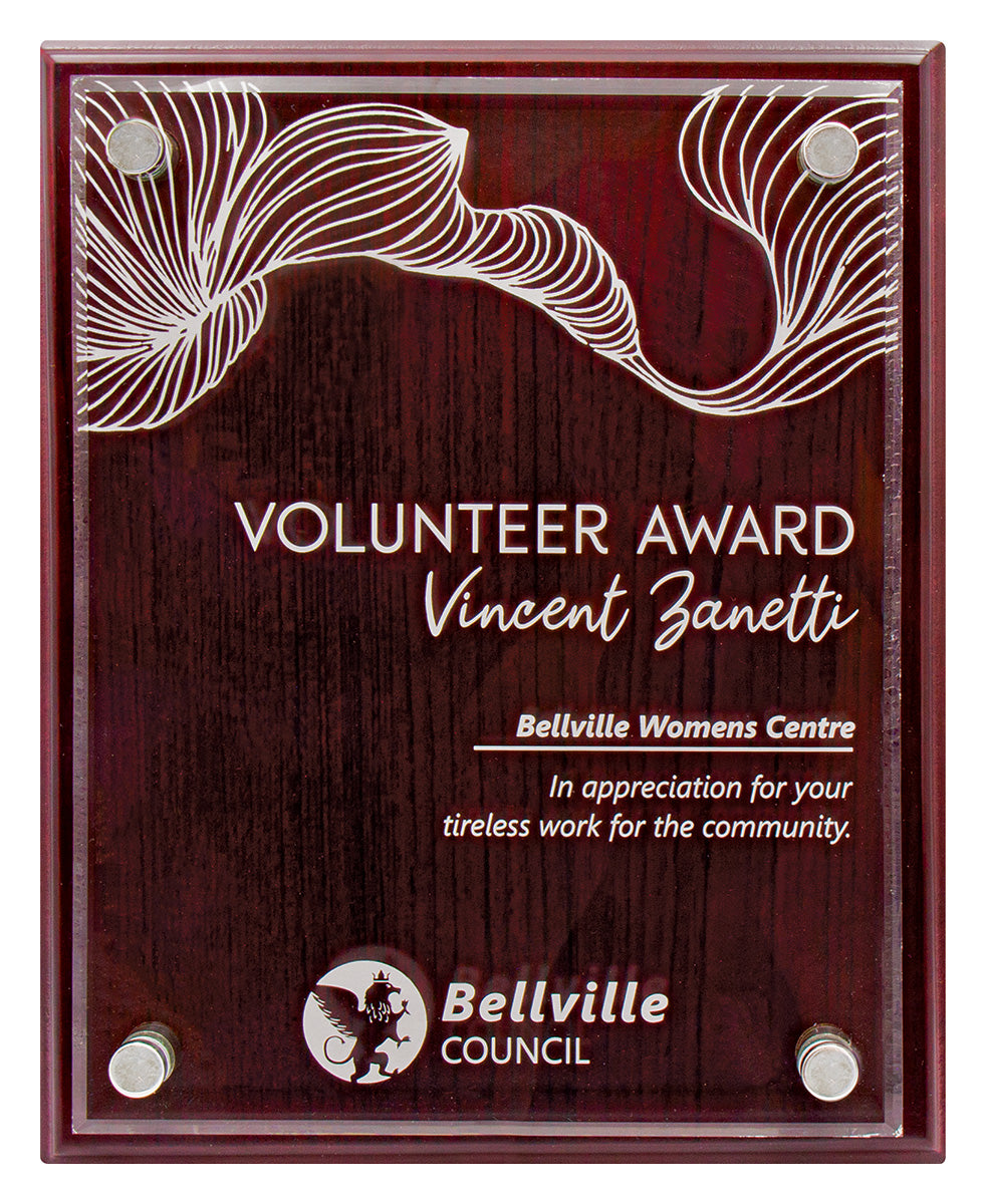 Value Plaque with Acrylic  - 250mm