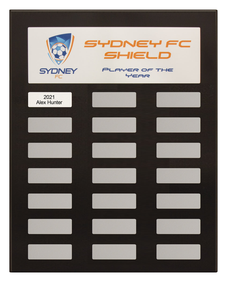 Colour Headline Plaque - 380mm