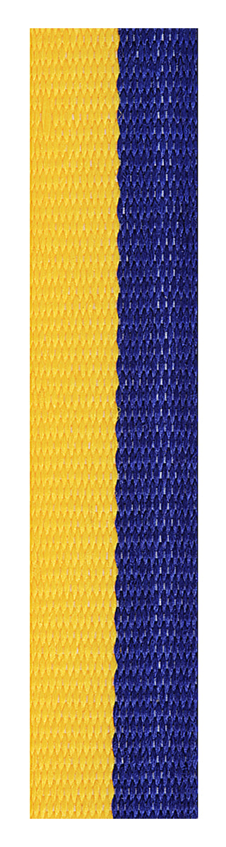 Blue / Gold Loop Ribbon - 700 x 12mm
