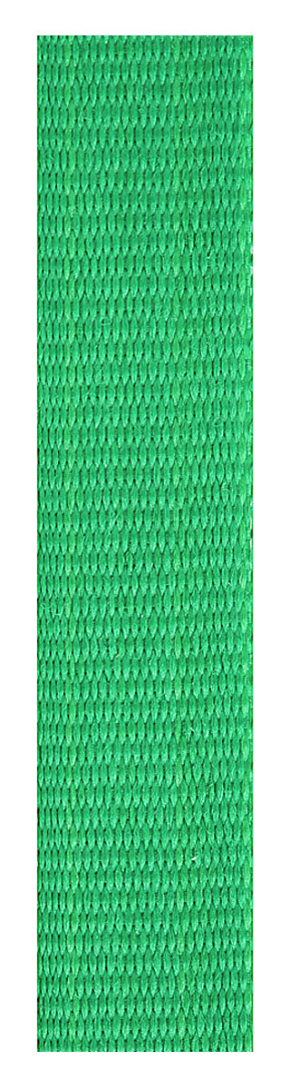 Green Loop Ribbon - 700 x 12mm