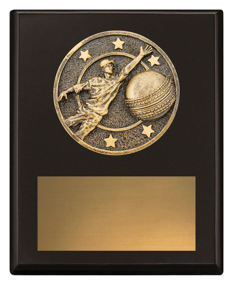 Challenge Plaque - Fielding - 150mm