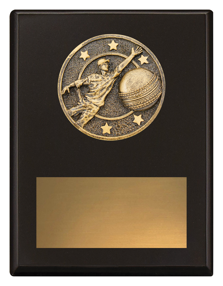 Challenge Plaque - Fielding - 175mm