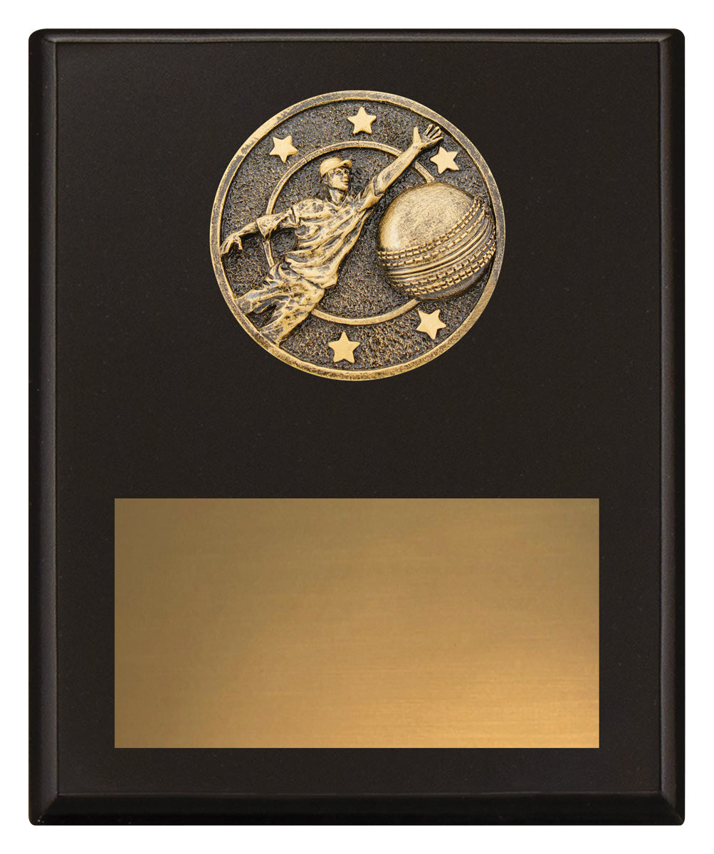 Challenge Plaque - Fielding - 200mm