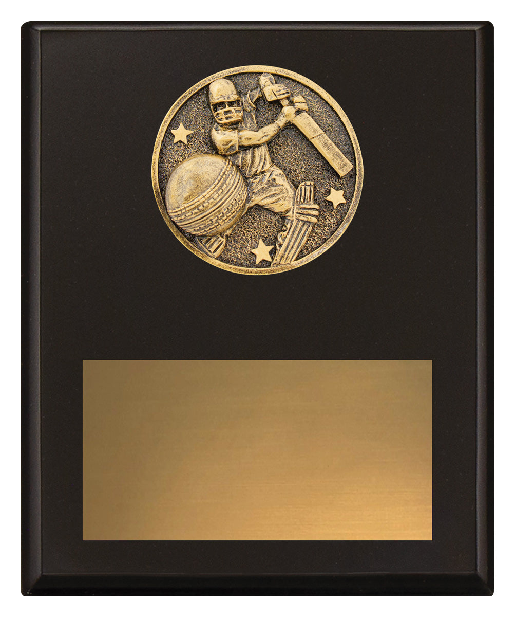 Challenge Plaque - Batting - 200mm