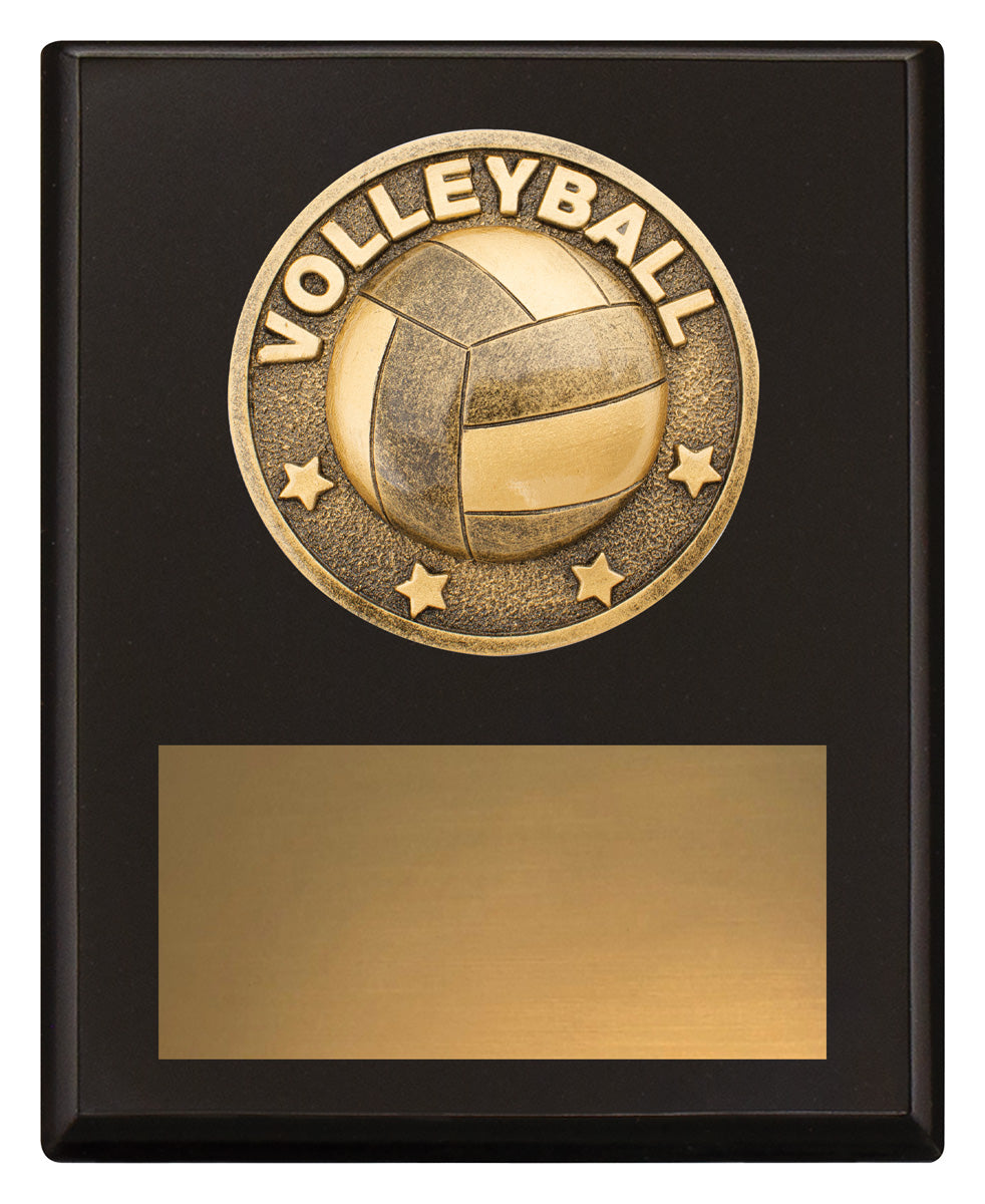 Challenge Plaque - Volleyball - 150mm